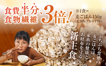 国産スーパー大麦＋宝麦（押麦） 2kg 麦 むぎ 大麦 押麦 国産 麦ごはん とろろごはん 麦飯 麦めし 米 麦味噌 麦みそ