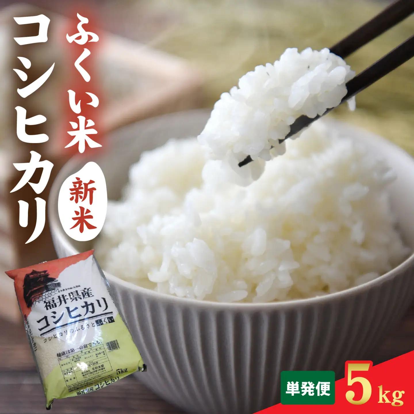 【先行予約】【ふくい米】令和8年産  福井市産コシヒカリ5kg 「2026年10月上旬より順次発送」 [A-168014] | こしひかり