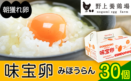 朝獲れ卵 味宝卵 (30個) 卵 Lサイズ：送料無料 鶏卵《90日以内に出荷予定(土日祝除く)》