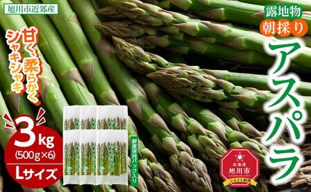 【2025年発送先行予約】朝採りアスパラ Lサイズ 3kg（500g×6）鮮度保持パック入り 旭川近郊産 露地物(2025年5月中旬発送予定) | アスパラ アスパラ アスパラ アスパラ アスパラ アスパラガス アスパラガス アスパラガス アスパラガス アスパラガス _01592