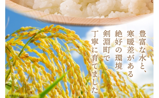 米 令和8年産 新米 ゆきさやか 5kg 6回 定期便 総計 30kg [笹田ファーム 北海道 剣淵町 14656465] お米 おこめ こめ コメ 定期配送 ご飯 ごはん 白米 精米 令和8年