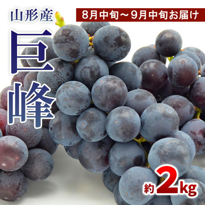 【ふるさと納税】山形のぶどう 巨峰 秀品 約2kg(3〜6房)[8月中旬〜9月中旬お届け] 【令和7年産先行予約】FS24-651 くだもの 果物 フルーツ 山形 山形県 山形市 お取り寄せ 2025年産