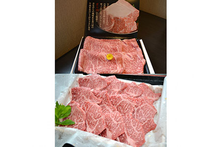 牛肉 頒布会Ａ ひら山 牛肉定期便 肉定期便 定期便