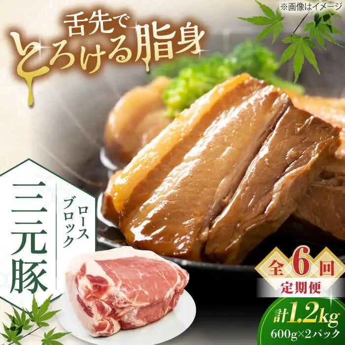 【全6回定期便】 ロース ブロック 1.2kg ロースブロック AJAP100