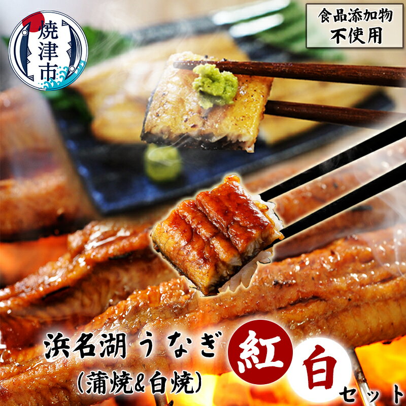 【ふるさと納税】 うなぎ 蒲焼 白焼 食べ比べ 紅白 セット タレ・山椒付き 国産 希少 焼津 化粧箱入り a20-422