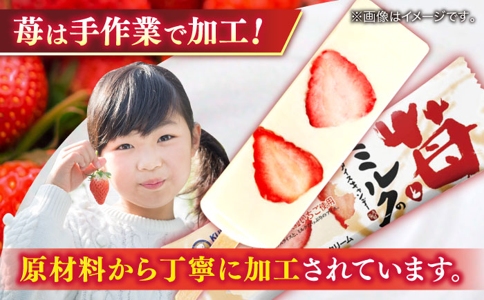 苺とミルクのアイスキャンデー 20本入 / 久保田食品 アイス  アイスクリーム  菓子 / スイーツ アイス アイスクリーム【グレイジア株式会社】[ATAC213]