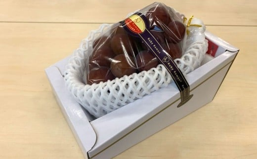 【先行予約 2026年】ルビーロマン ぶどう 葡萄 大粒 1房 600g～800g 贈答品【JA小松市】石川県 小松市
