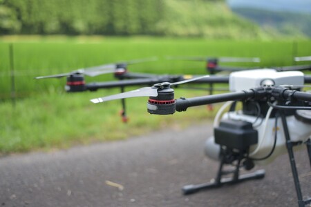 ＜高橋さん家のおいしいお米 5kg＞ 国産 白米 ライス ひなた米 精米 主食 ご飯 おにぎり 備蓄 防災 保存 ご飯 粒 ツヤツヤ 粘り あまみ 甘み お弁当 お昼 おこめ 内容量 5キロ 10キロ