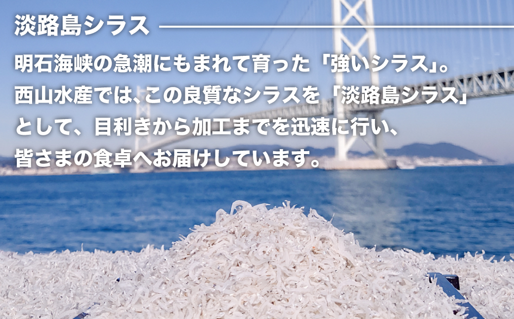 生しらす 「ちりめん山椒」 80ｇ6個入り（480ｇ）　[ちりめん山椒 ちりめん山椒 佃煮 佃煮 佃煮]