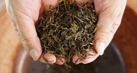 熊野番茶染めキャンバスミニトート　ヤマブキ色（チタン媒染）【mrm0106】