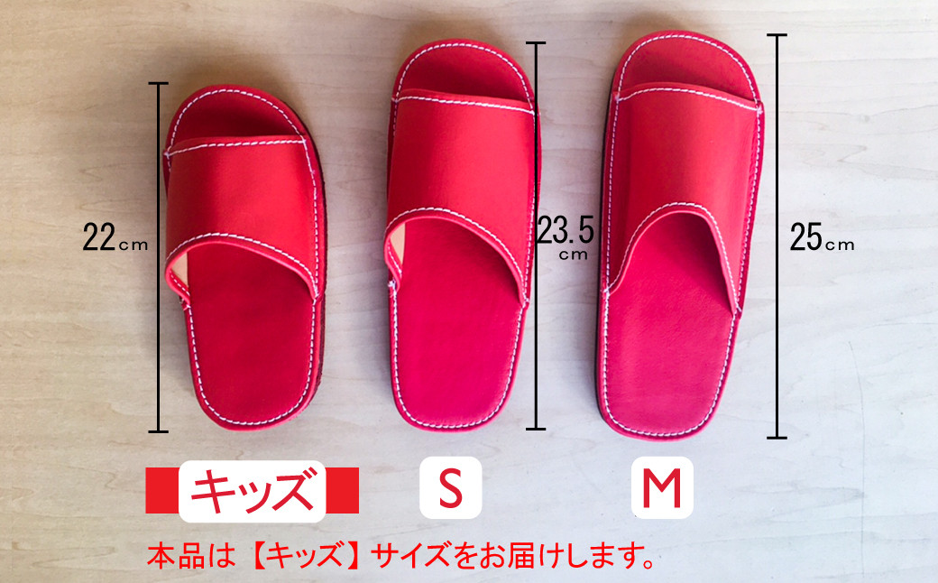 ※実際のお色は異なります