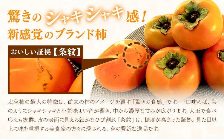 【先行予約】柿 太秋柿 たいしゅうがき 約2kg 日本フルーツ株式会社《2026年9月上旬-10月下旬頃出荷》熊本県 菊池市  秋の味覚 果物 くだもの フルーツ デザート