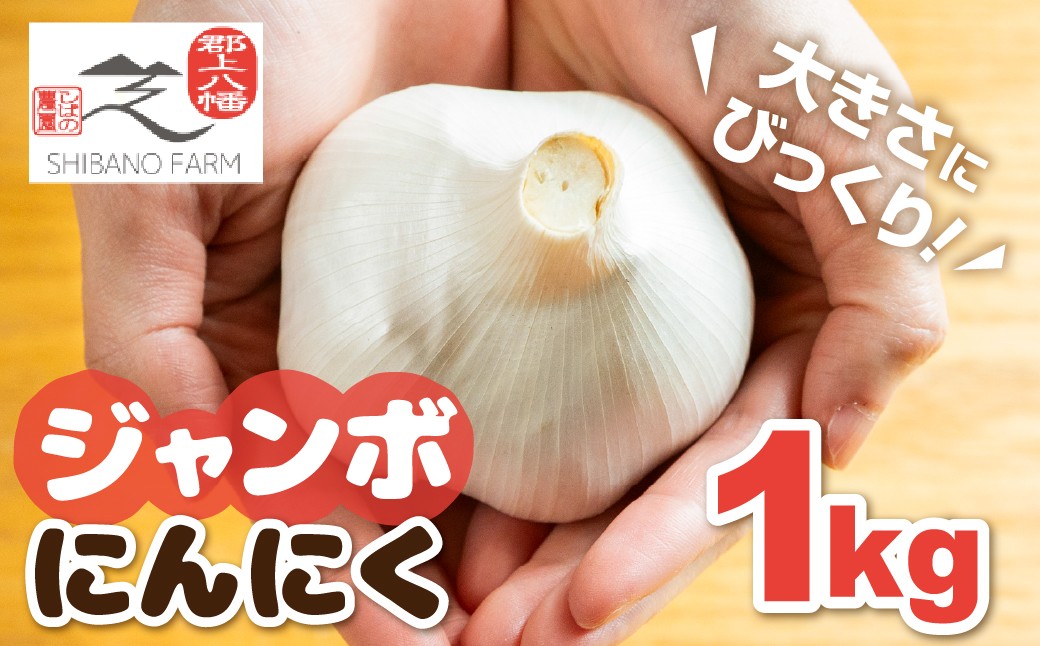 
                  【先行予約】2026年7月中旬～順次発送 令和8年産 ジャンボにんにく1kg 食品  野菜 きのこ  にんにく 国産にんにく G0563
                