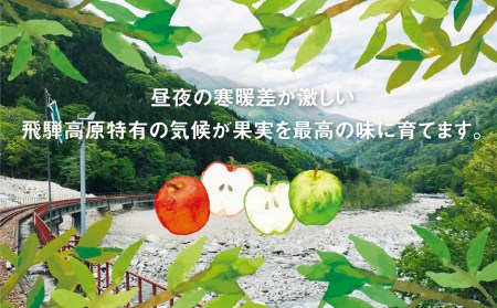 ぎゅっとリンゴジュース 5種10本飲み比べ 化粧箱入り 飛騨リンゴ