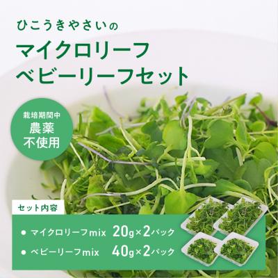 ふるさと納税 各務原市 マイクロリーフミックス【20g】&amp;ベビーリーフミックス【40g】健康野菜の食べ比べセット【932】