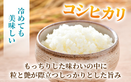 【先行予約】【令和8年産 新米】《定期便6回》ワルツ農場のコシヒカリ クリーン精米 10kg（5kg×2袋） 特別栽培米【納得の美味しさ】減農薬 有機肥料使用 / お米 ご飯 白米 発送直前 精米 つ