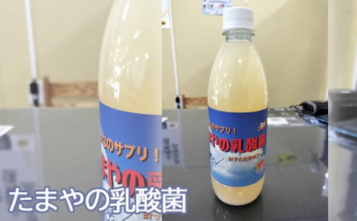 たまやの乳酸菌　500ml ／ 液体エサ 小型淡水魚用 グッドアクアリウムデザイン賞 東京都 No.096