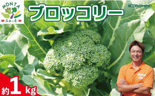 【先行予約】 ブロッコリー 約1kg 野菜 やさい 国産 朝採れ 新鮮 旬 季節野菜 産地直送 《2026年11月から順次発送》 鮮度抜群 サラダ スープ 味噌汁 鍋 シチュー カレー 和食 洋食 中華 栄養 ビタミン 美容 健康 冷蔵 お取り寄せ グルメ 送料無料 徳島県 阿波市 MONTAふぁ～む