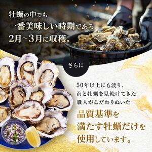 「讃美牡蠣」冷凍牡蠣 ハーフシェル 10個
