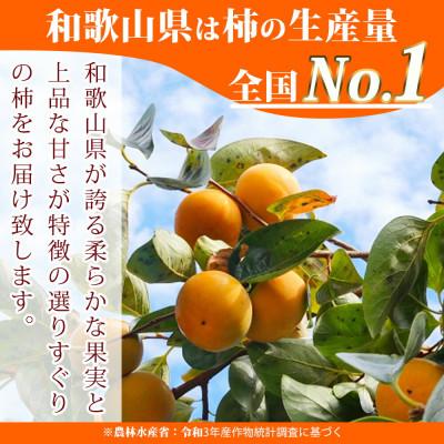 ふるさと納税 北山村 和歌山秋の味覚 平核無柿 約7.5kg【uot700A】 |  | 01