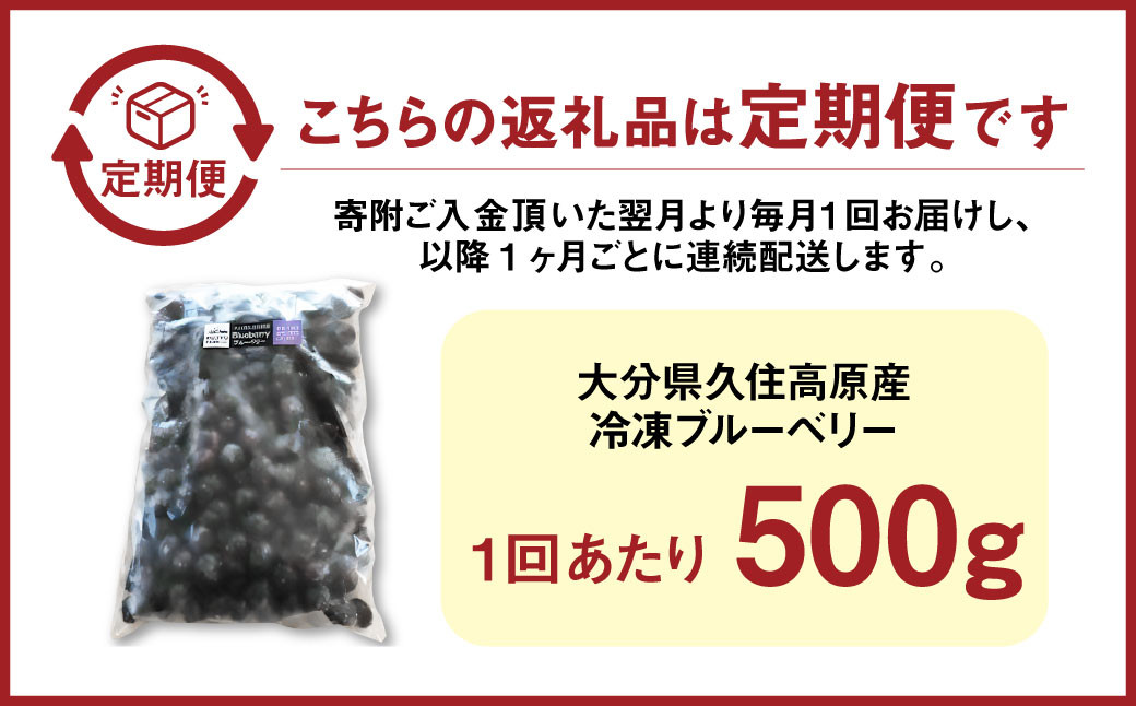 【3回 定期便】久住高原 冷凍 ブルーベリー 500g 栽培期間中農薬不使用 手摘み