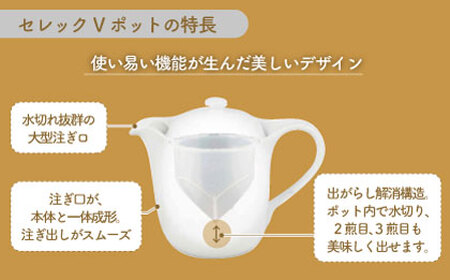 【美濃焼】セレック Vポット 720ml（新 カモミール）【山加商店】C-SV-3 食器 茶器 急須 ティーポット お茶 緑茶 ティータイム 花柄 ホワイト シンプル おしゃれ レンジ対応 食洗機対応