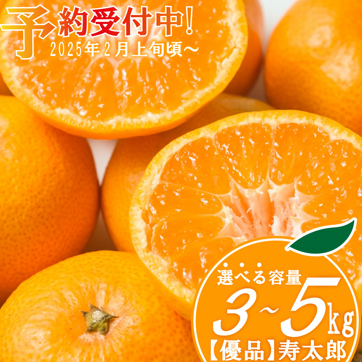 
            【予約受付】 優品　寿太郎 みかん 選べる 容量 3kg～5kg フルーツ 果物 蜜柑 オレンジ ランキング 糖度 おいしい コスパ 甘い 人気 時期 旬 美味しい 静岡 沼津
          