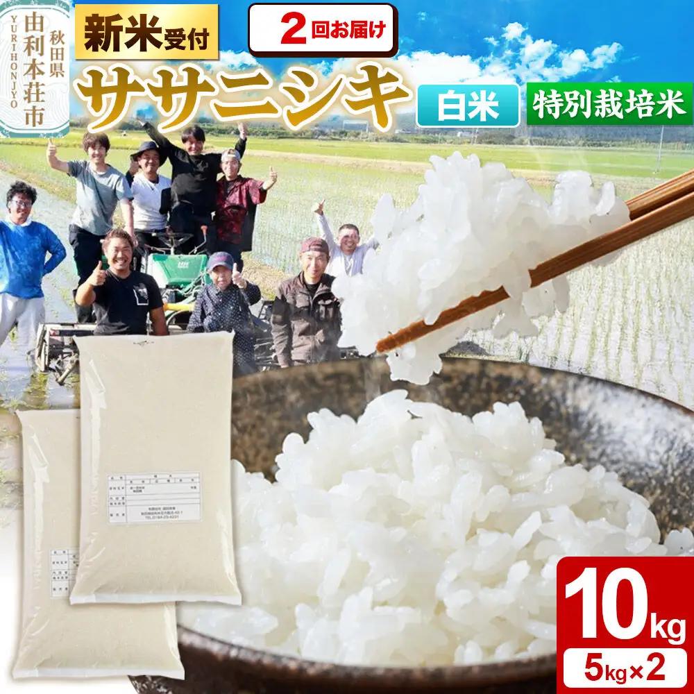 《令和8年産 新米受付》《定期便2ヶ月》【白米】特別栽培米 ササニシキ 10kg（5kg×2袋） 秋田県産