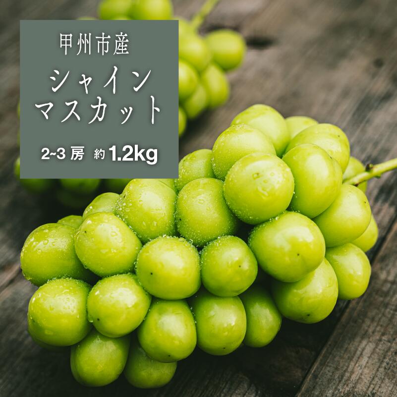 【ふるさと納税】 シャインマスカット 約1.2kg 2～3房 果物 フルーツ ぶどう 果実 葡萄 2025年発送 8月 9月 10月 発送 山梨県 甲州市 贈答 ギフト 家庭用 期間限定 数量限定 産地直送 社員マスカット （SHP） 【B-452】
