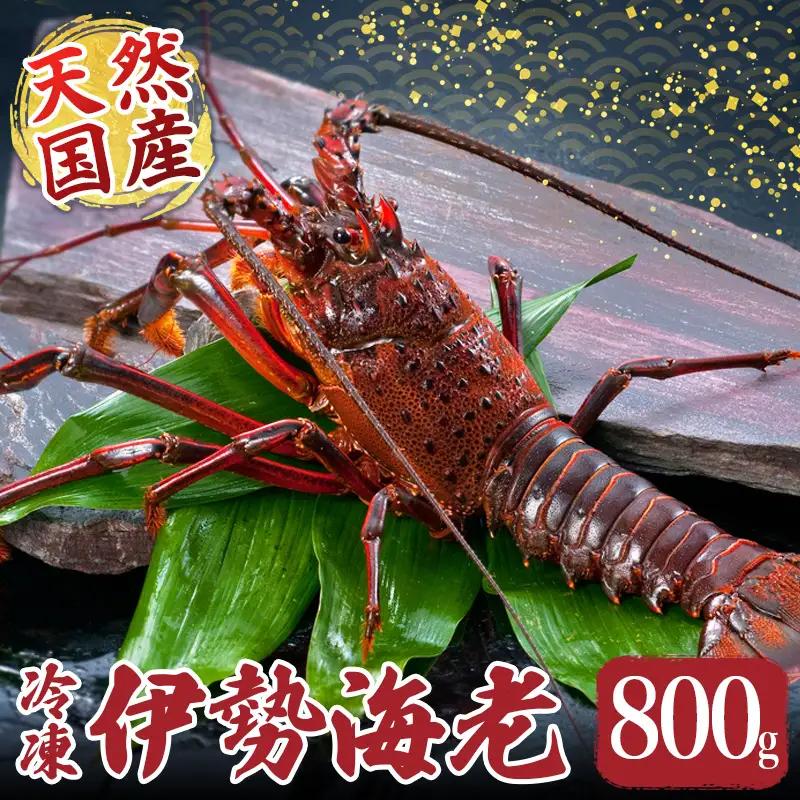伊勢えび 約800g 産地直送 冷凍 伊勢えび