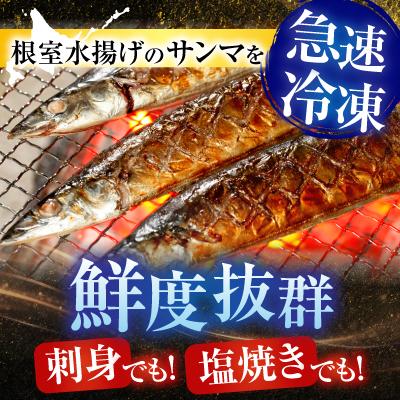 ふるさと納税 根室市 タラバガニむき身300g・冷凍さんま5尾×3P B-30049 |  | 01