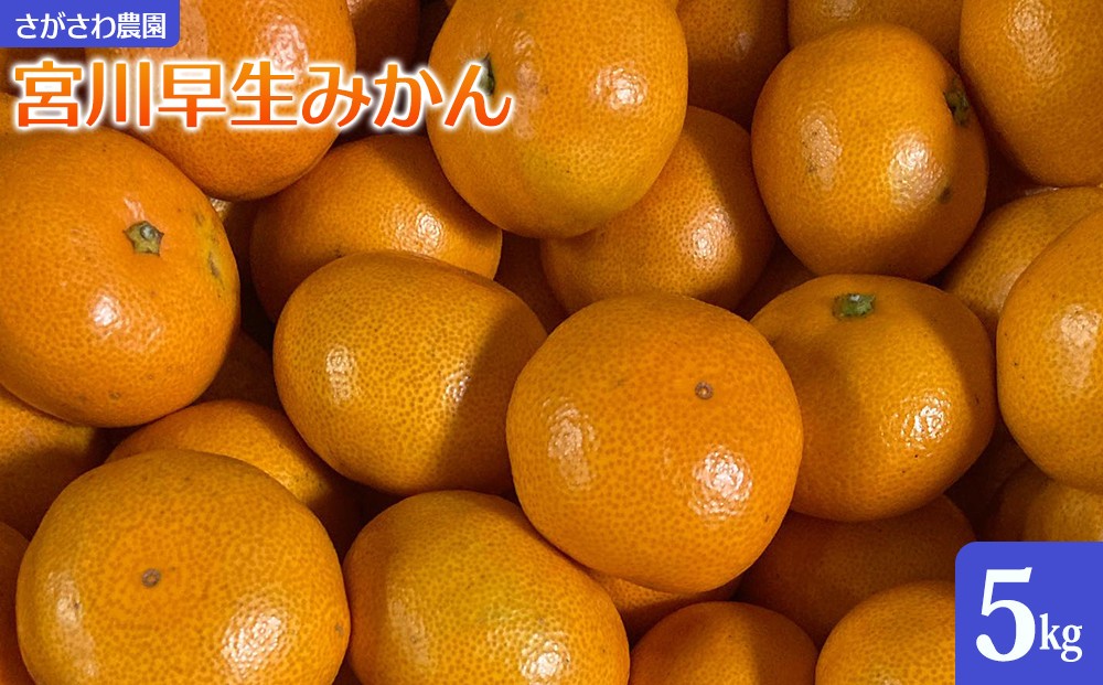 
                  宮川早生みかん5kg | 湯河原町 みかん 柑橘 旬 宮川早生 5kg フルーツ
                