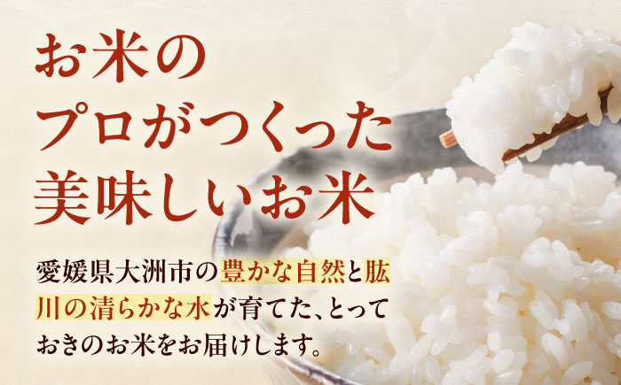 令和7年産 お米 ヒノヒカリ 10kg（10kg×1袋）米・食味鑑定士×お米ソムリエ×白米ソムリエ お米 おこめ 白米 ごはん 愛媛県産お米 大洲市/稲工房案山子 [AGAV011]