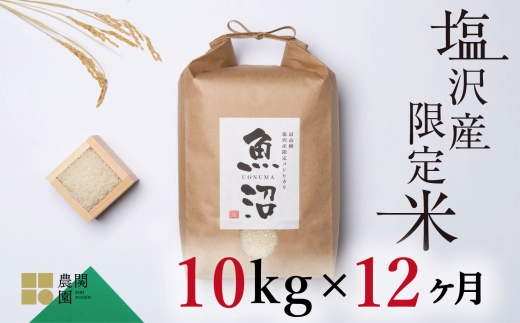 【定期便令和7年産】南魚沼コシヒカリ10kg×全12回　旧塩沢地区限定米【定期便 銘柄米 ブランド米 精米 こしひかり コシヒカリ 魚沼産 新潟米 産地直送 お米 米 こめ コメ ご飯 御飯 ごはん】