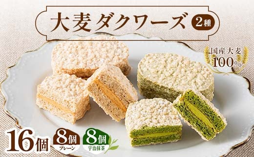 大麦ダクワーズ 2種セット 計16個（プレーン、宇治抹茶 各8個） 栃木県 足利市 F7Z-1366