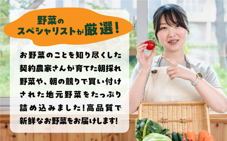 【定期便】あつみの肉＆旬の野菜BOX定期便 4回 詰合せ