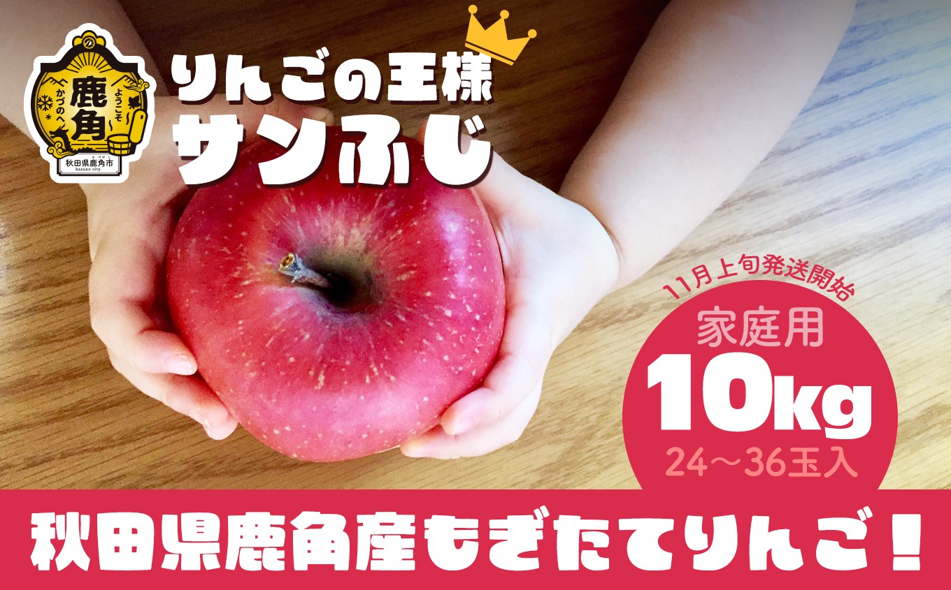 
                  《先行予約》訳あり 秋田県鹿角産 りんご 家庭用 サンふじ 約 10kg（24～36玉入）●2026年11月上旬発送開始【ケーケー農園】 かづのりんご 食感 果汁 さっぱり リンゴ 完熟 旬 県産りんご 林檎 お中元 お歳暮 贈り物 お見舞い グルメ ギフト 故郷 秋田 あきた 鹿角市 鹿角 送料無料 
                