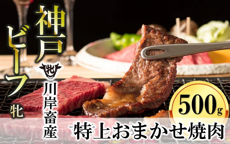 
【神戸牛 牝】【７営業日以内に発送】特上 焼肉 おまかせセット（500g）（25-10）
