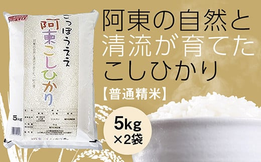 D748 阿東こしひかり（普通精米5kg×2）