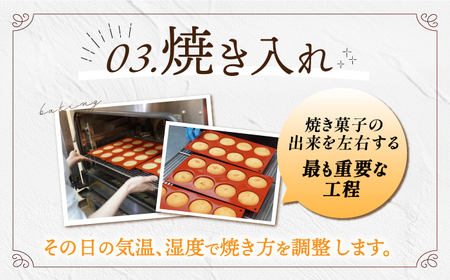 【3回定期便】焼菓子詰め合わせセット（L）22個入 長与町/CAKE SHOP FAVORI[EBV018]