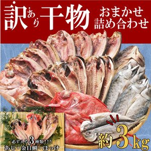 【2025年7月発送】 干物 訳あり 干物 ひもの 約3kg おまかせ 詰め合わせ 干物 セット 沼津 干物 規格外 干物 不揃い