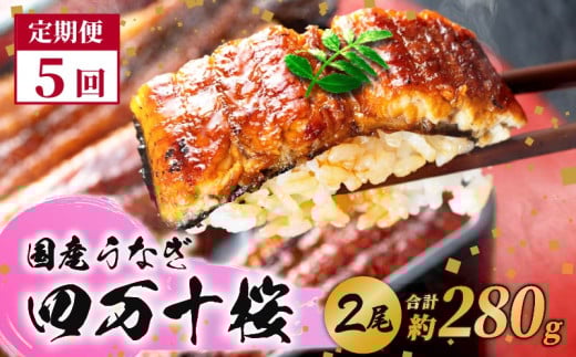 【5回定期便】極上国産うなぎ四万十桜　蒲焼き約140g✕2尾