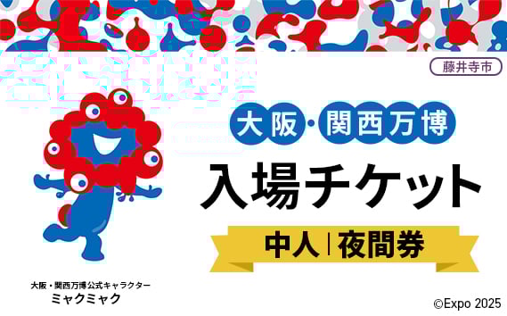 
            No.373 2025年日本国際博覧会入場チケット 夜間券（中人）【藤井寺市返礼品】 ／ 万博 EXPO 2025 大阪万博 関西万博 夢洲 入場券 大阪府
          
