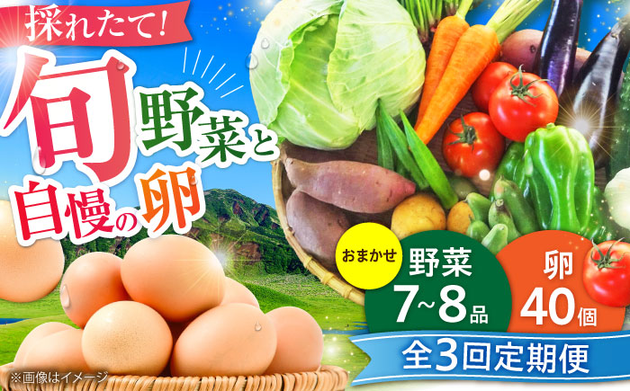 【全3回定期便】新鮮たまごと旬の野菜セット(野菜7~8品程度＋40個) / たまご 生卵 タマゴ 詰合せ セット 熊本県 特産品【有限会社さんふれあ】 [BHAK009]