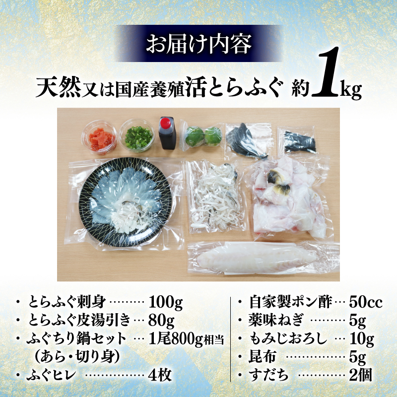 期間限定 とらふぐ まるごと セット てっさ てっぴ ふぐちり ふぐヒレ 冷凍 特製 ポン酢 薬味 付き 贅沢 国産 すだち ふぐ皮 ちり鍋 新鮮 てっさ盛 ふぐ刺し ふぐ皮 刺し身 ふぐ 高級魚 鮮