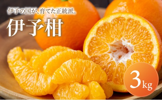 【安心して選べる】 爽やかジューシー 【伊予柑】3kg 愛媛県産 【2027年1月上旬頃から順次発送】 | みかん ミカン mikan みかん 蜜柑 訳ありフルーツ 柑橘 果物 おすすめ お勧め お取り寄せ ギフト 愛媛県 松山市