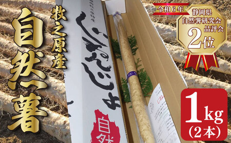 【予約受付 自然薯】 自然薯 1kg  やまあい農園 静岡県 牧之原市