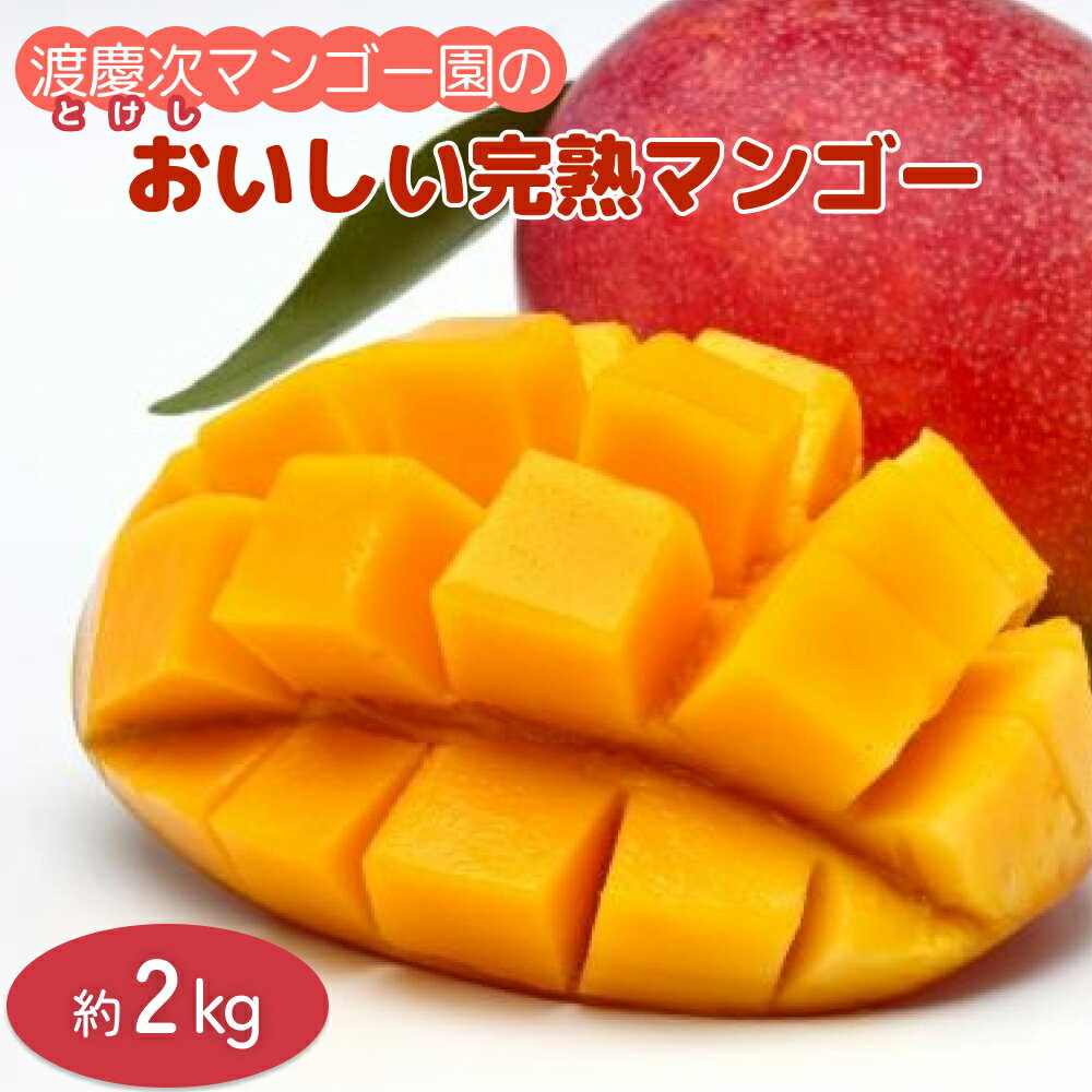 【ふるさと納税】【 先行予約 2026年発送 】完熟マンゴー 2kg 沖縄県産 マンゴー 2キロ 国産 果物 南国 くだもの フルーツ 完熟 夏 旬 特産品 沖縄 取り寄せ 産地直送 農家直送 甘い 濃厚 うるま市 渡慶次マンゴー