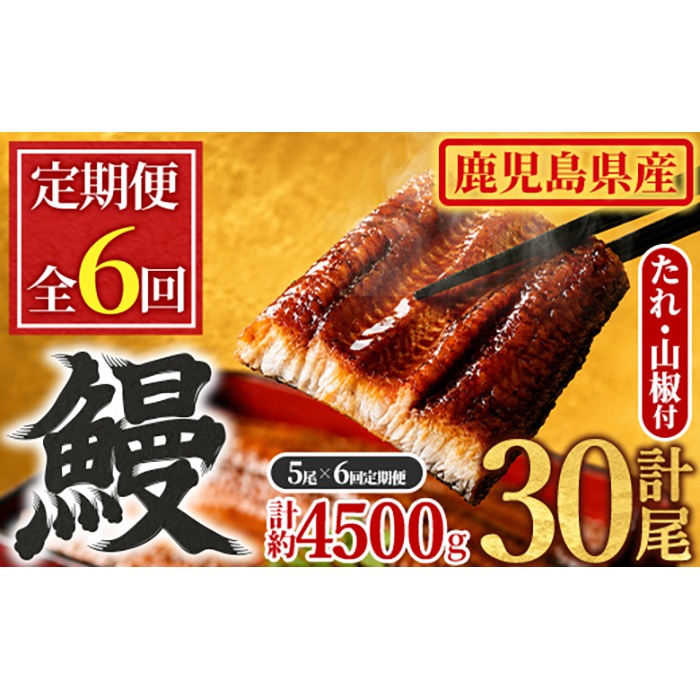 【1504304b】＜定期便・全6回＞東串良町のうなぎ蒲焼(無頭)(5尾・計約750g・タレ、山椒付×6回)うなぎ 高級 ウナギ 鰻 国産 蒲焼 蒲焼き たれ 鹿児島 ふるさと 人気【アクアおおすみ】