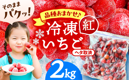 冷凍苺 2kg いちご 苺 イチゴ【配達不可：離島】 / くぼ苺農園[AECJ026]